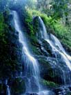 Rock Water