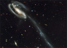 Galaxia Tadpole