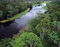 Amazonas