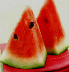 Sandia