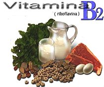 Vitamina B2